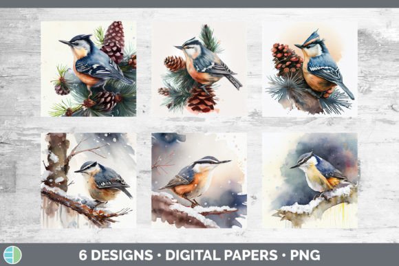 Christmas Nuthatch Backgrounds Digital Illustrations
