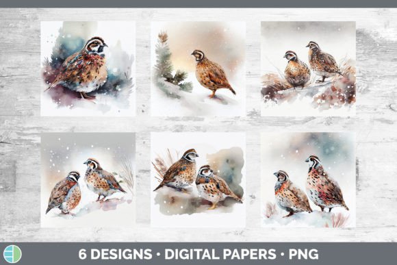 Christmas Quail Backgrounds Digital Sc Illustrations