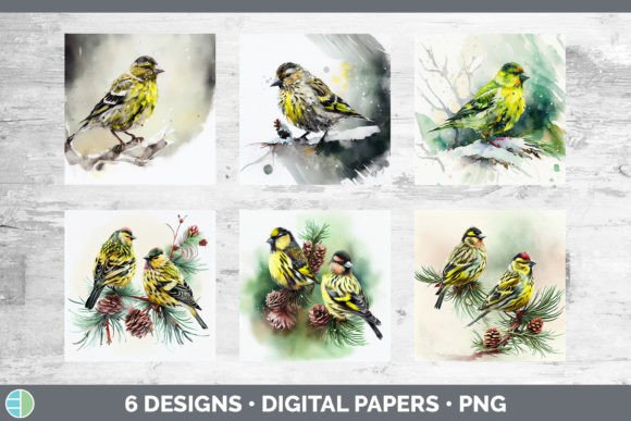 Christmas Siskin Backgrounds Digital S for Illustrations